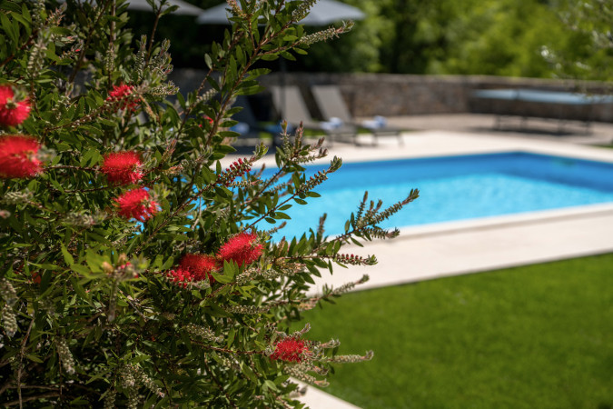 Exterior, Villa with Pool Vi&scaron;njan &ndash; Istria Vi&scaron;njan